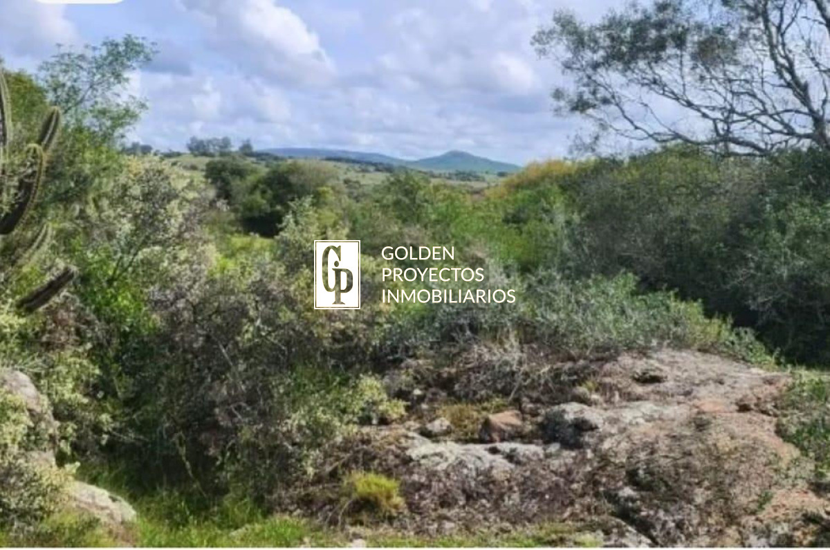 Terreno ID.38 -  Venta de CHACRA a 5 km de Pueblo Eden y Ruta 12 en Punta del Este