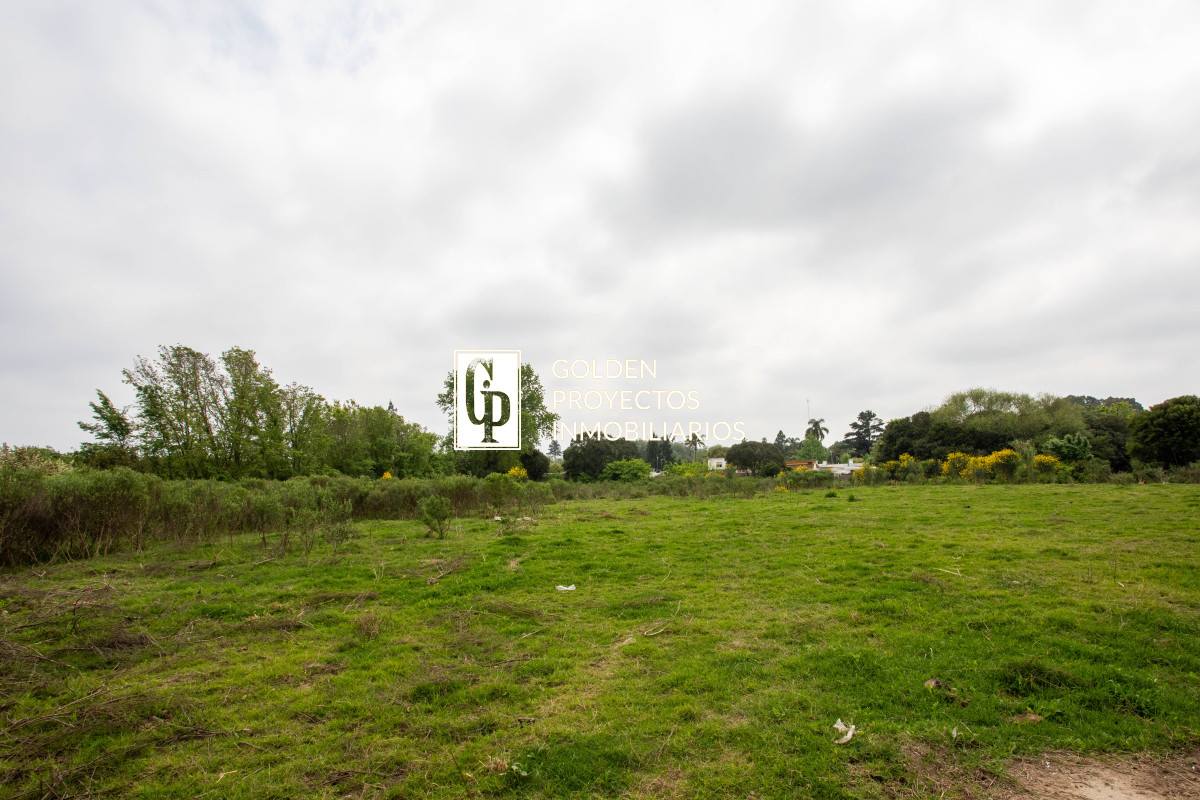Terreno ID.272 - Terreno en venta Colón 10.509 m2