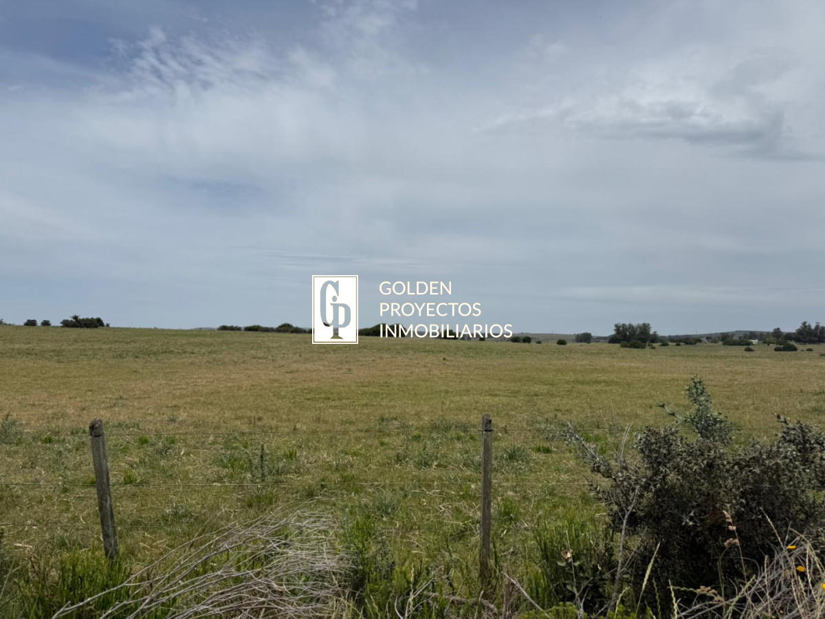 Terreno ID.38 -  Venta de CHACRA a 5 km de Pueblo Eden y Ruta 12 en Punta del Este