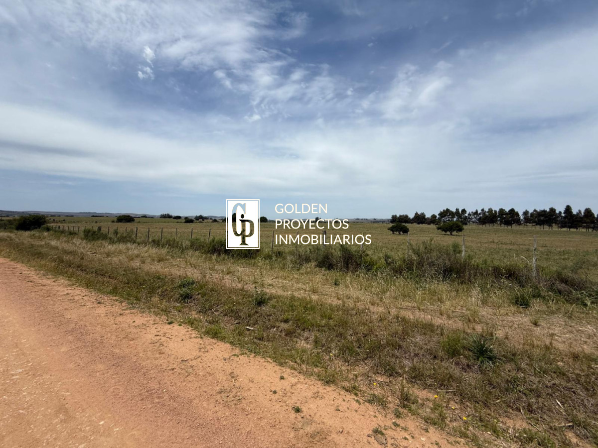 Terreno ID.38 -  Venta de CHACRA a 5 km de Pueblo Eden y Ruta 12 en Punta del Este