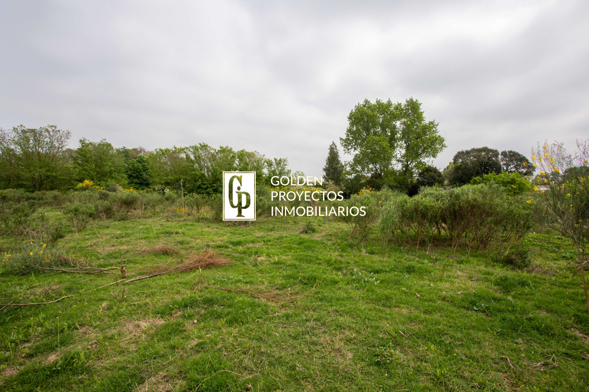Terreno ID.272 - Terreno en venta Colón 10.509 m2