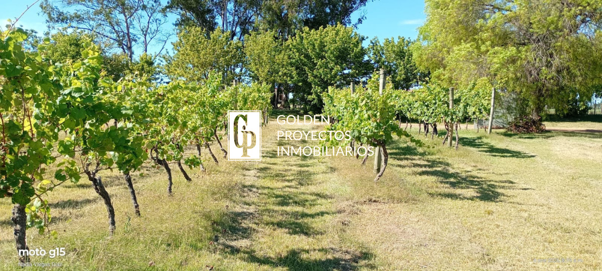 Terreno ID.844/Lote-en-Venta-en-Barrio-Privado-en-Carmelo-Colonia - Lote en Venta en Barrio Privado en Carmelo Colonia