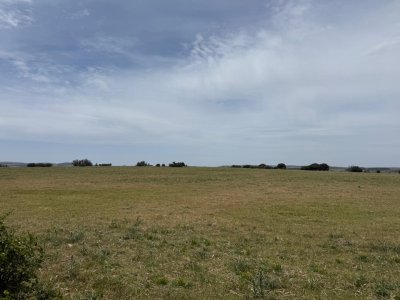  Venta de CHACRA a 5 km de Pueblo Eden y Ruta 12 en Punta del Este