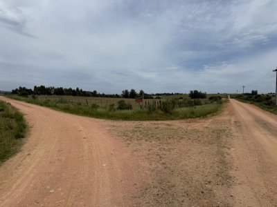  Venta de CHACRA a 5 km de Pueblo Eden y Ruta 12 en Punta del Este