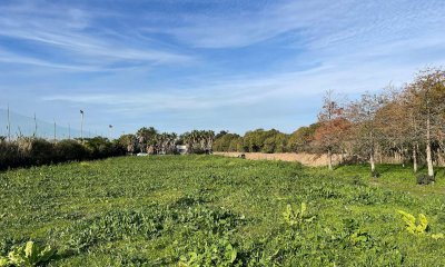 Terreno en Venta 1.8 ha. Carrasco Prox. Polo Club.