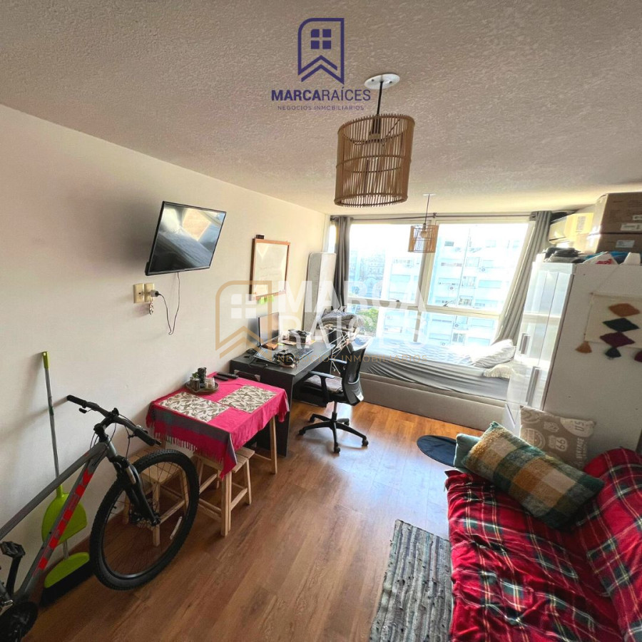 Apartamento ID.252 - Alquiler Apartamento Monoambiente Luminoso Parque Batlle Montevideo