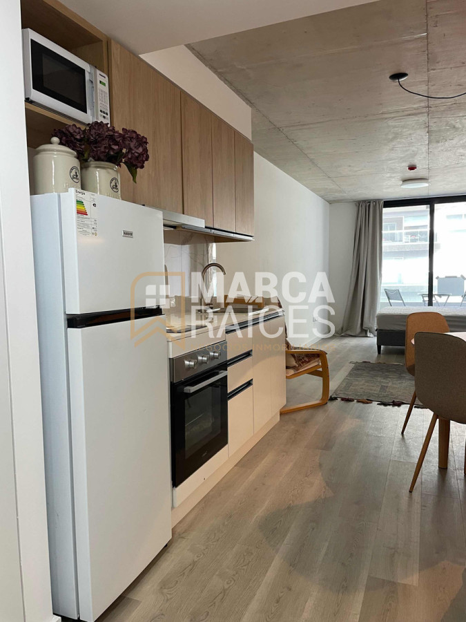 Apartamento ID.1292 - Alquiler Loft Monoambiente amoblado Con Garage Villa Biarritz Punta Carretas Montevideo