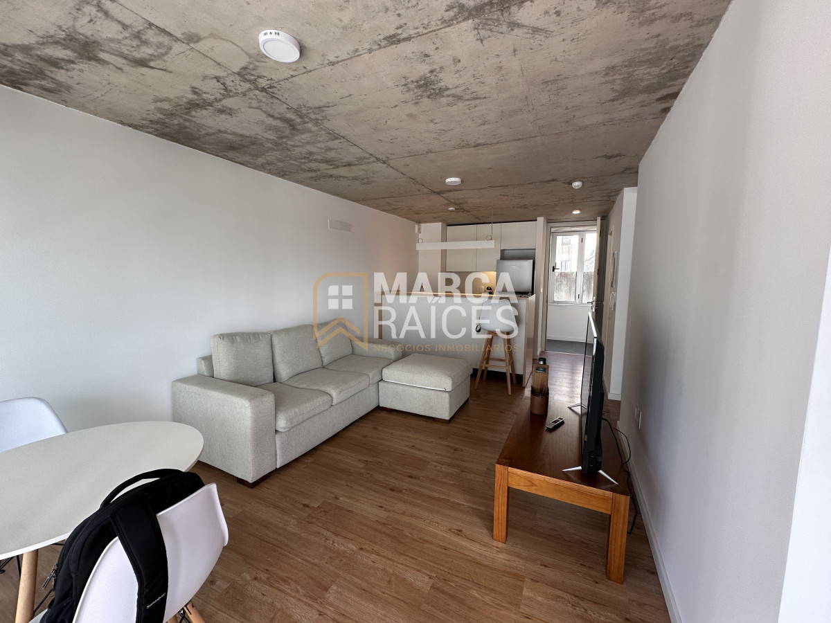 Apartamento ID.1402 - Apartamento Amplio A Estrenar Amoblado Piso 4 Al Frente Luminoso Cordon Sur Montevideo