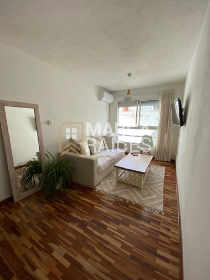 Apartamento ID.1739 - Alquiler Apartamento 1 Dormitorio, 1 baño, Amoblado, Pocitos