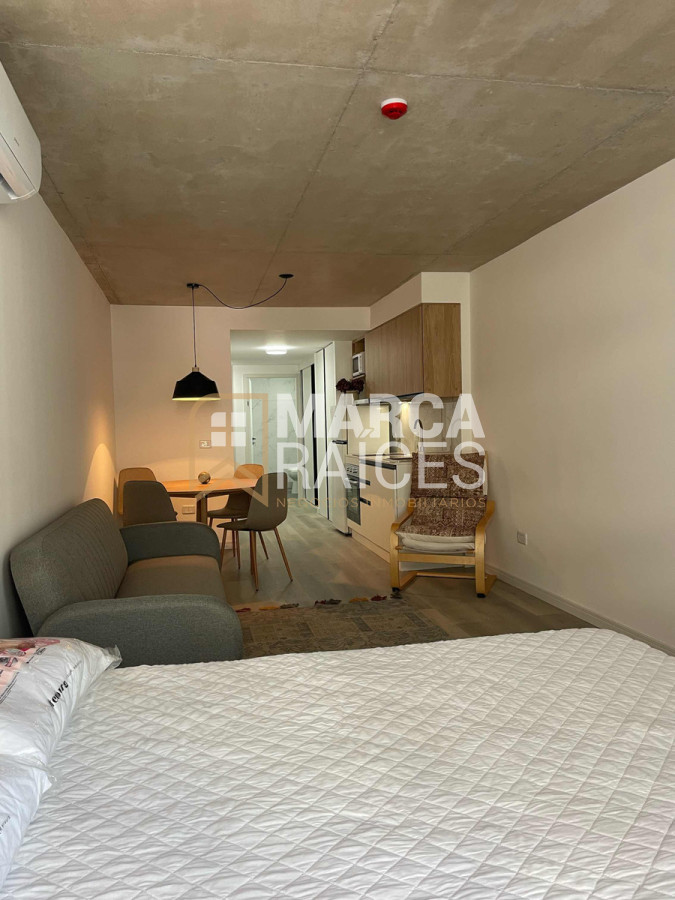Apartamento ID.1292 - Alquiler Loft Monoambiente amoblado Con Garage Villa Biarritz Punta Carretas Montevideo