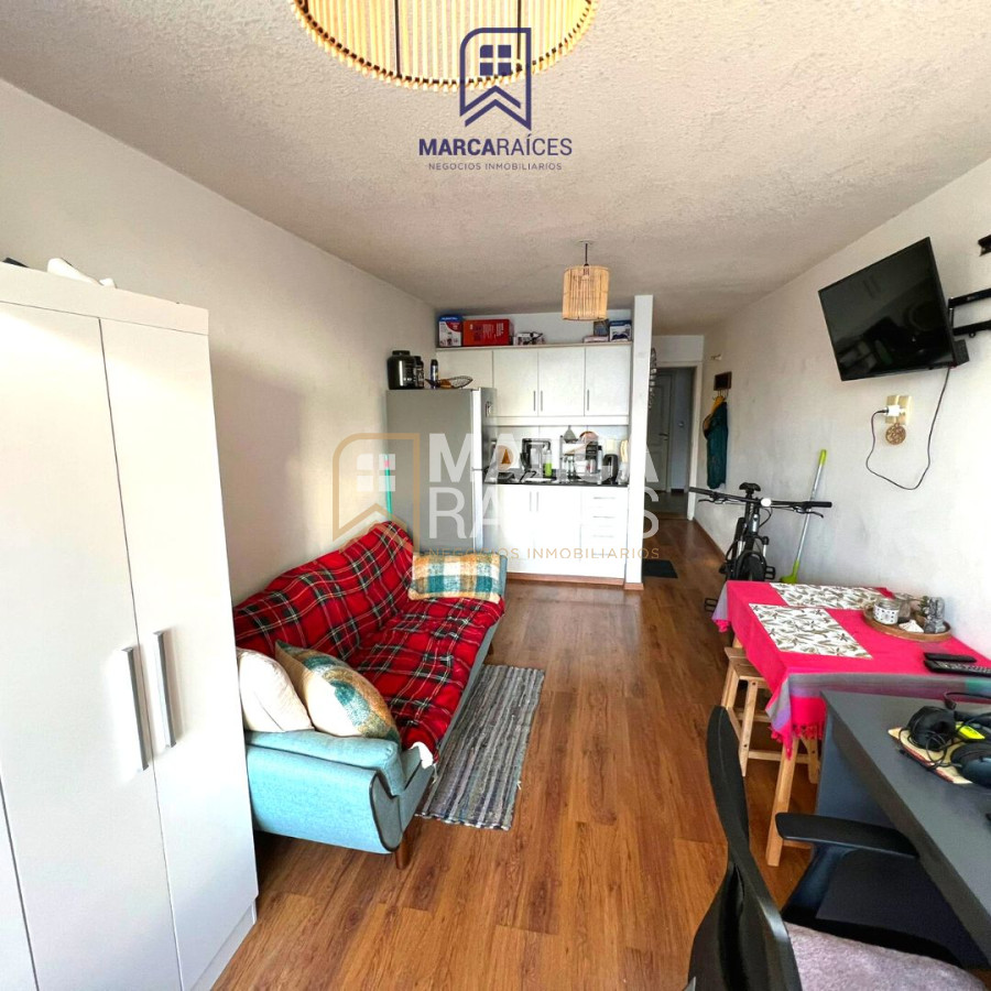 Apartamento ID.252 - Alquiler Apartamento Monoambiente Luminoso Parque Batlle Montevideo