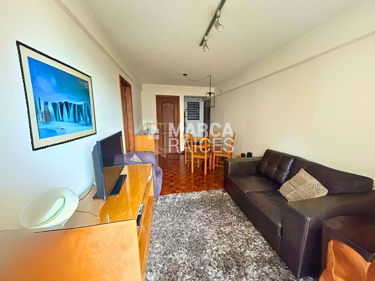 Apartamento ID.1234 - Alquiler Apartamento 1 Dormitorio Amoblado Pocitos Montevideo