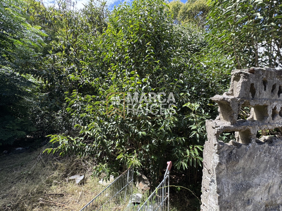 Casa ID.1231 - Venta Terreno Con Construcciones Carrasco Norte Montevideo