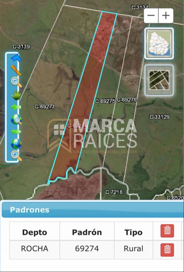 Campo Ref.1195 - Venta Campo Fraccionado Posibilidad de Dividir Rincón Bravo, Río San Luis Rocha Uruguay