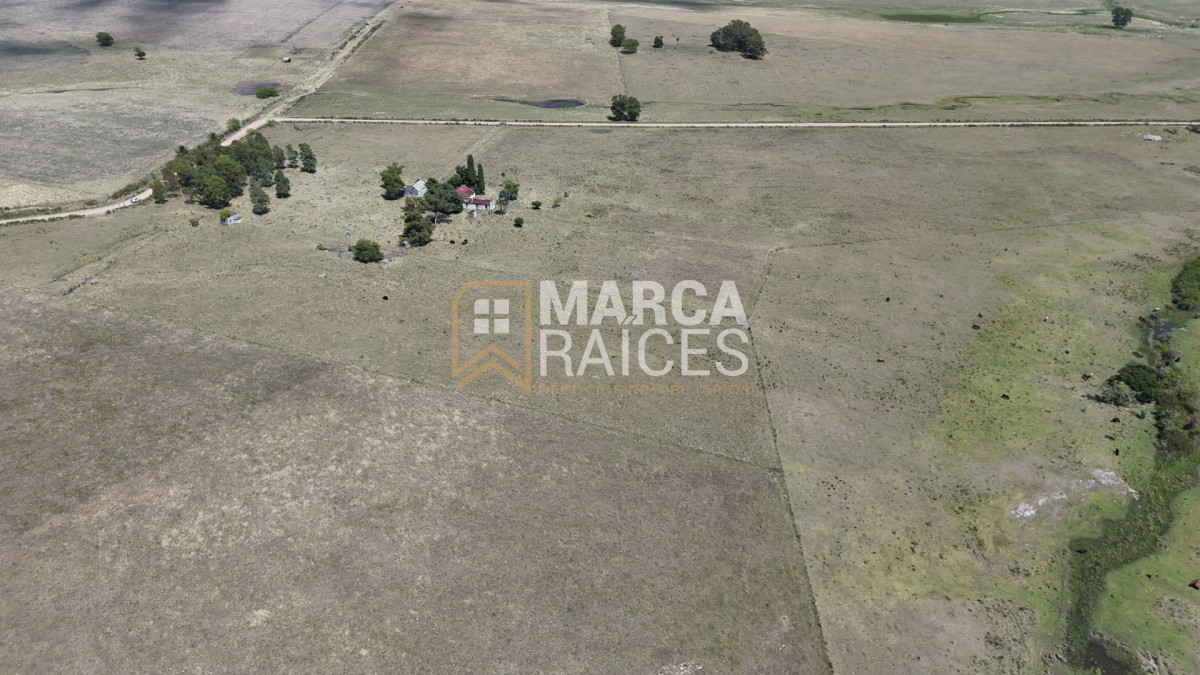 Campo Ref.1825 - Venta Establecimiento Productivo 135has Capilla del Sauce Departamento de Florida