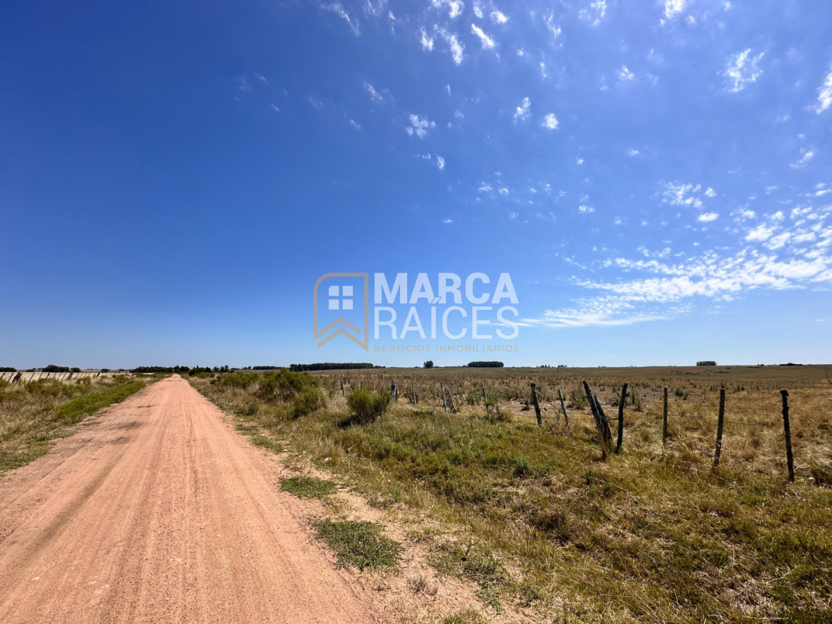 Campo Ref.1825 - Venta Establecimiento Productivo 135has Capilla del Sauce Departamento de Florida