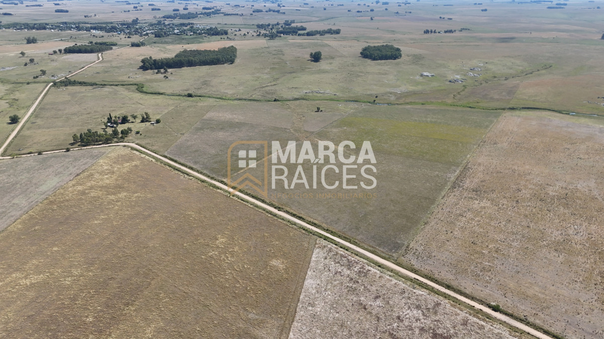 Campo Ref.1825 - Venta Establecimiento Productivo 135has Capilla del Sauce Departamento de Florida