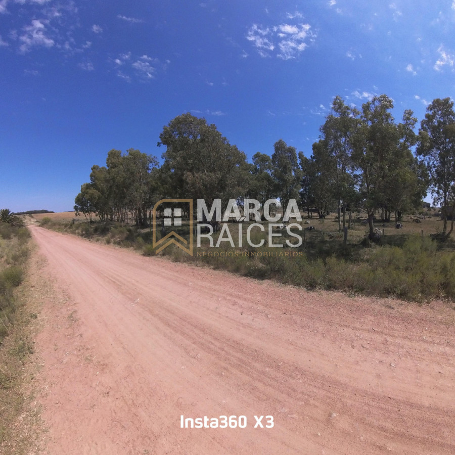 Campo Ref.1825 - Venta Establecimiento Productivo 135has Capilla del Sauce Departamento de Florida