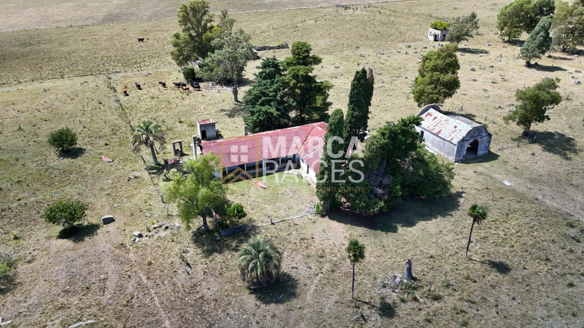 Campo Ref.1825 - Venta Establecimiento Productivo 135has Capilla del Sauce Departamento de Florida