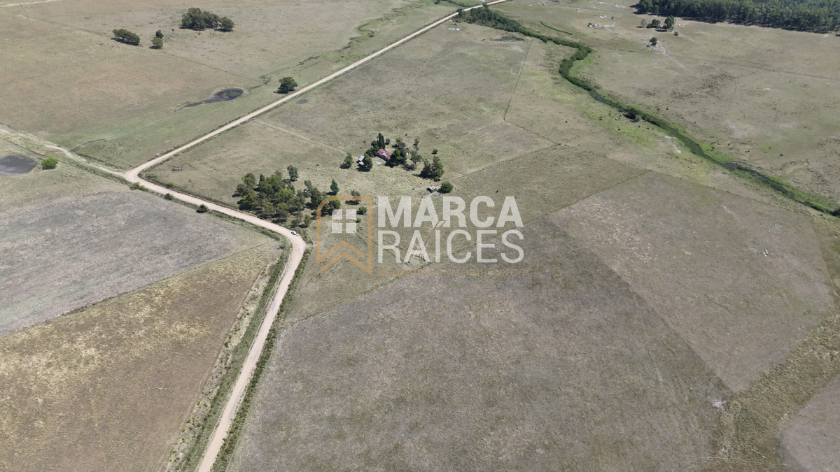 Campo Ref.1825 - Venta Establecimiento Productivo 135has Capilla del Sauce Departamento de Florida