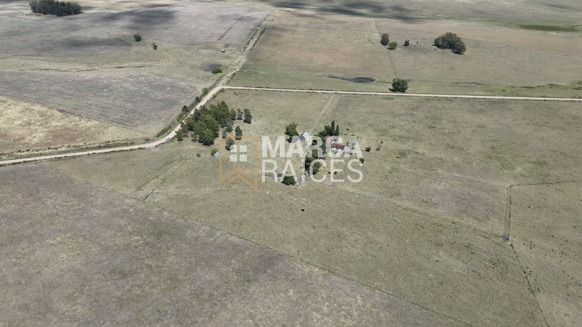 Campo Ref.1825 - Venta Establecimiento Productivo 135has Capilla del Sauce Departamento de Florida