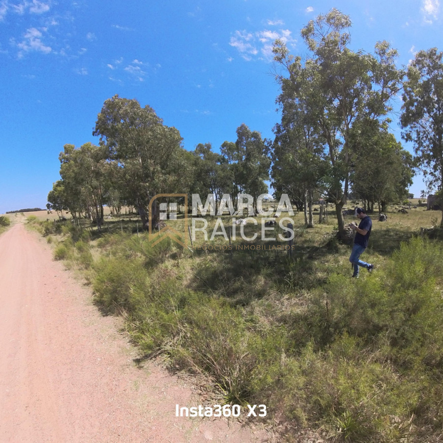 Campo Ref.1825 - Venta Establecimiento Productivo 135has Capilla del Sauce Departamento de Florida