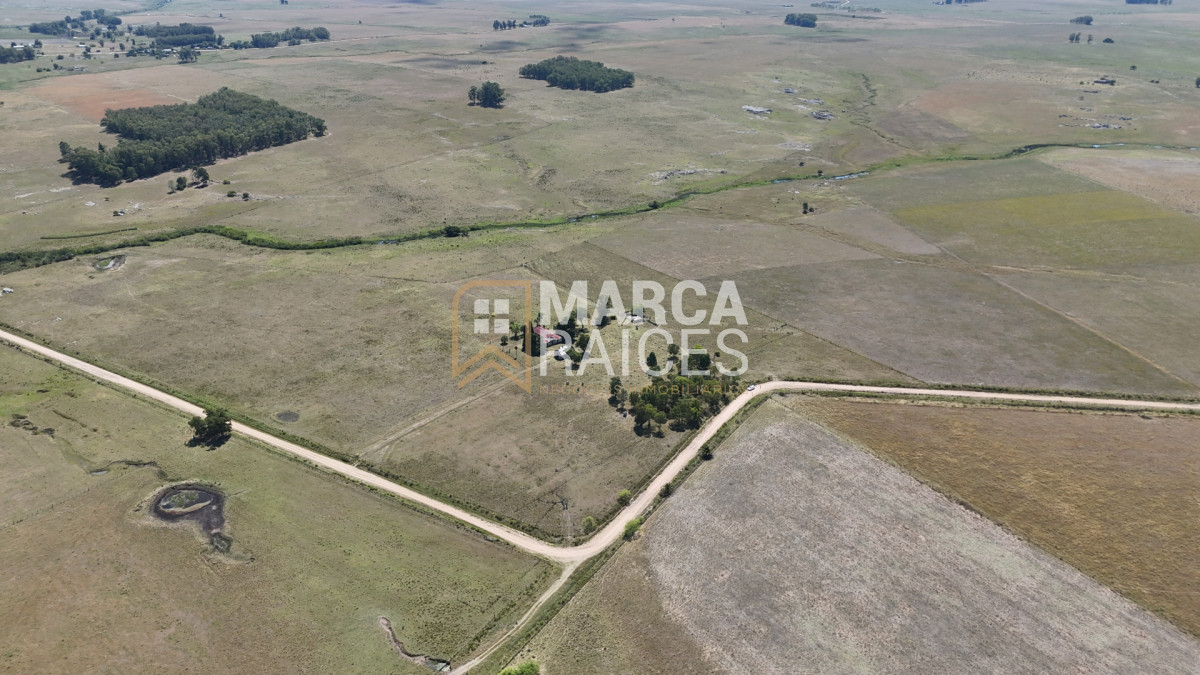 Campo Ref.1825 - Venta Establecimiento Productivo 135has Capilla del Sauce Departamento de Florida