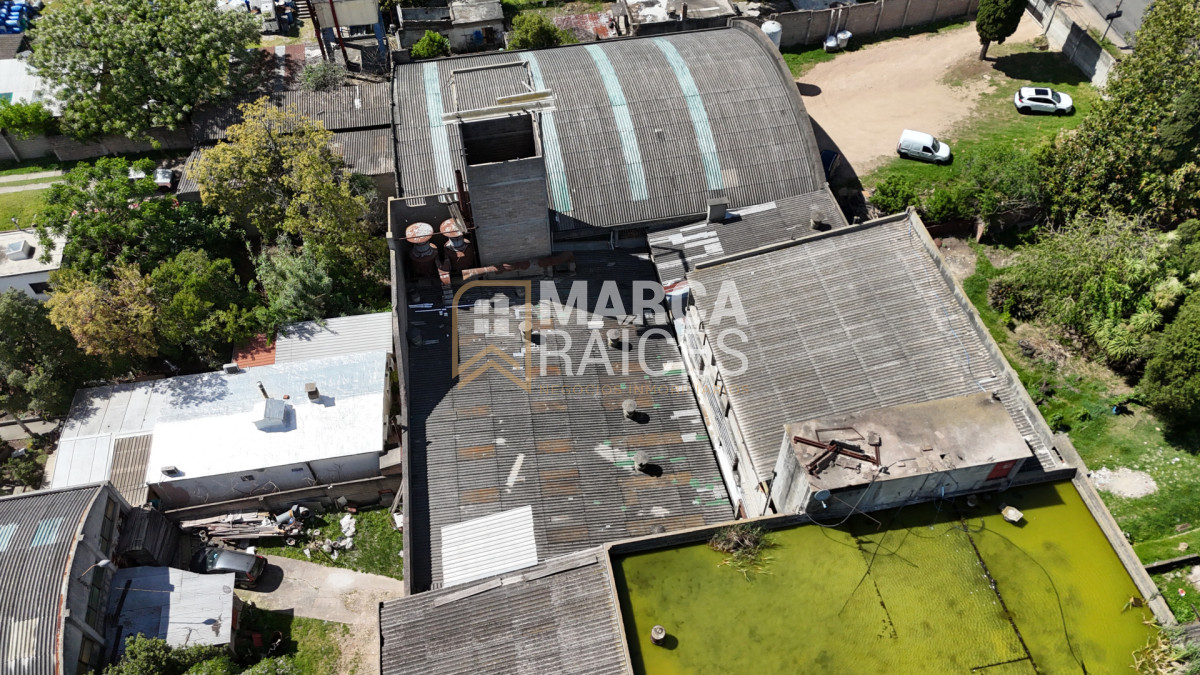 Local Comercial ID.1681 - Alquiler Local Depósito Oficina Batlle Berres Belvedere  Nuevo París Montevideo