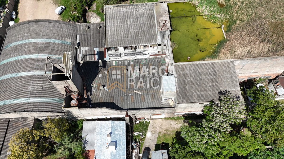 Local Comercial ID.1681 - Alquiler Local Depósito Oficina Batlle Berres Belvedere  Nuevo París Montevideo