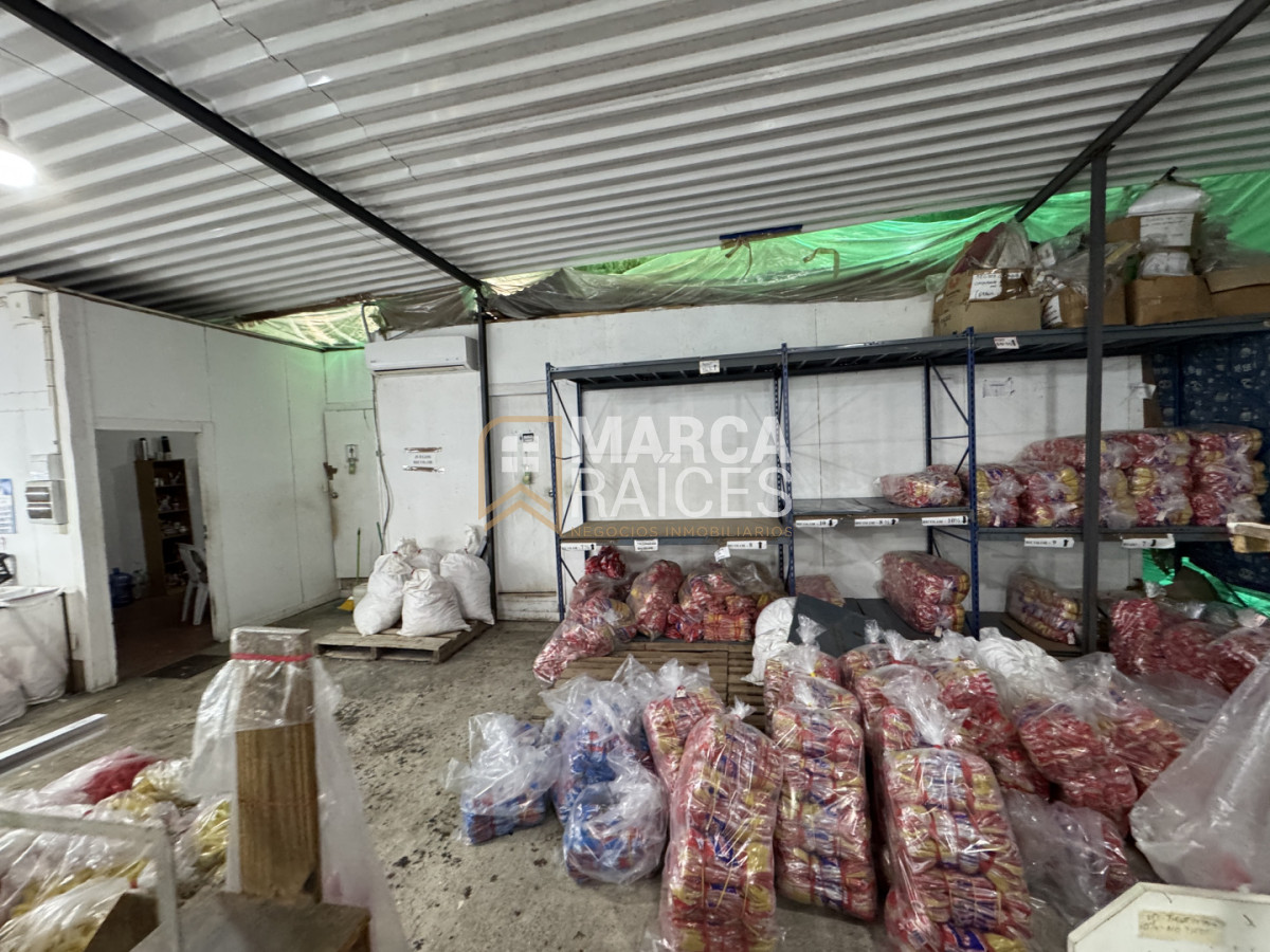 Local Comercial ID.1681 - Alquiler Local Depósito Oficina Batlle Berres Belvedere  Nuevo París Montevideo