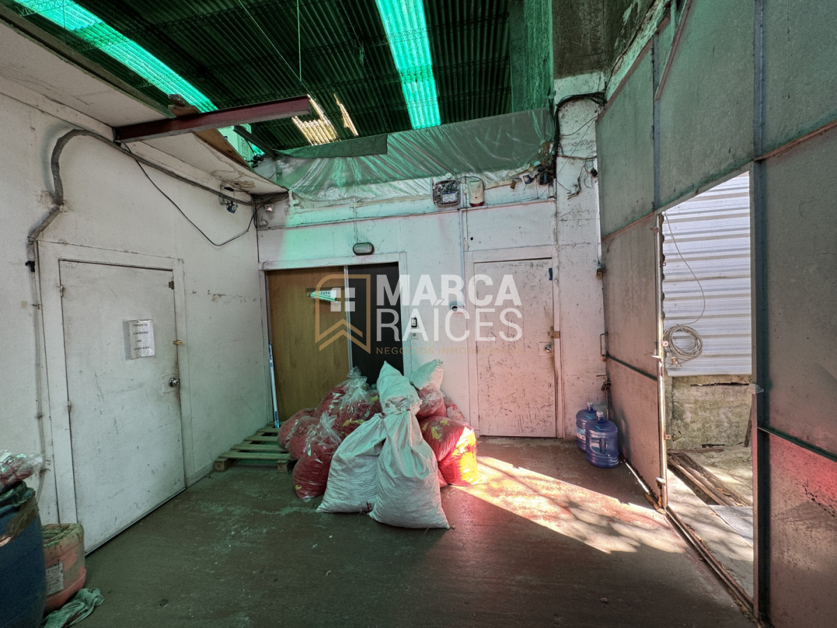 Local Comercial ID.1681 - Alquiler Local Depósito Oficina Batlle Berres Belvedere  Nuevo París Montevideo