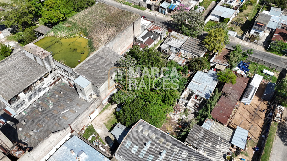 Local Comercial ID.1681 - Alquiler Local Depósito Oficina Batlle Berres Belvedere  Nuevo París Montevideo