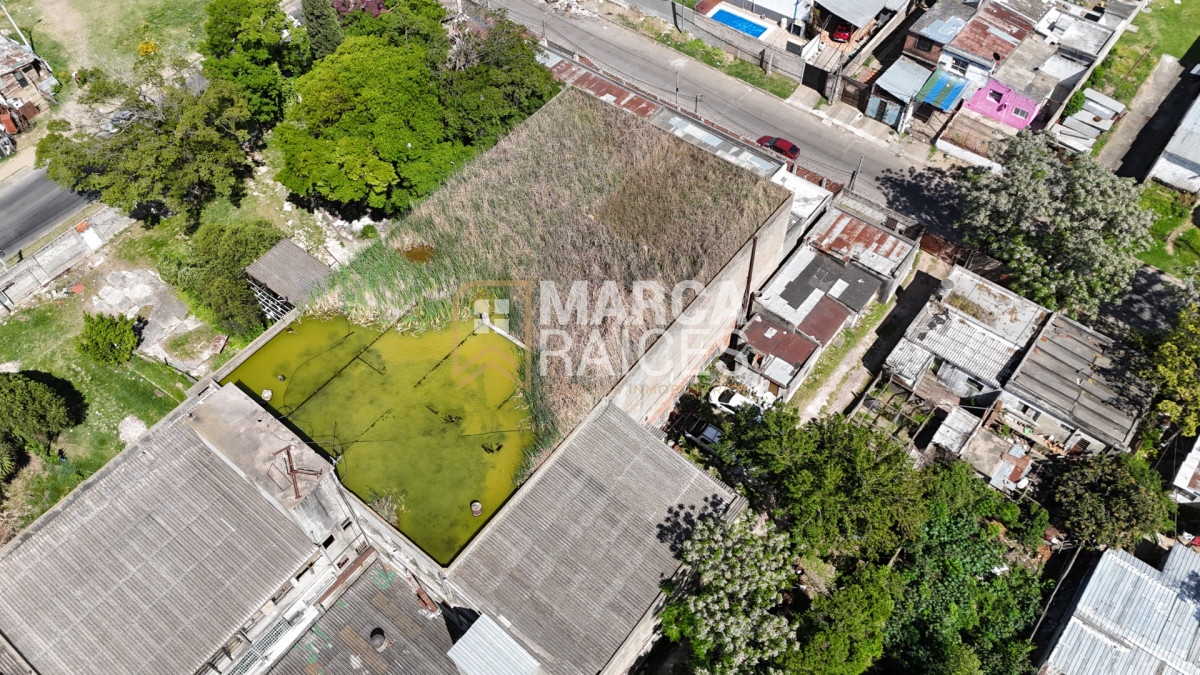 Local Comercial ID.1681 - Alquiler Local Depósito Oficina Batlle Berres Belvedere  Nuevo París Montevideo