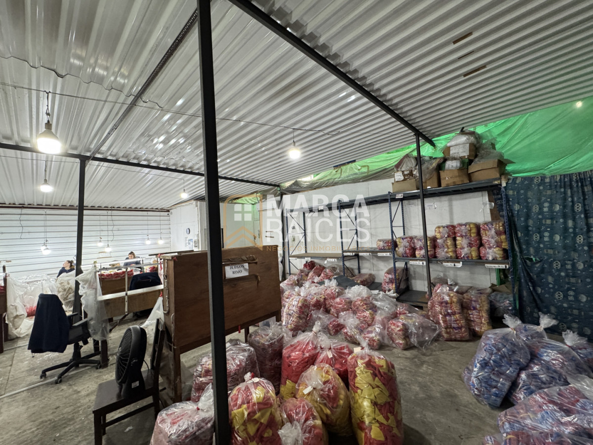 Local Comercial ID.1681 - Alquiler Local Depósito Oficina Batlle Berres Belvedere  Nuevo París Montevideo