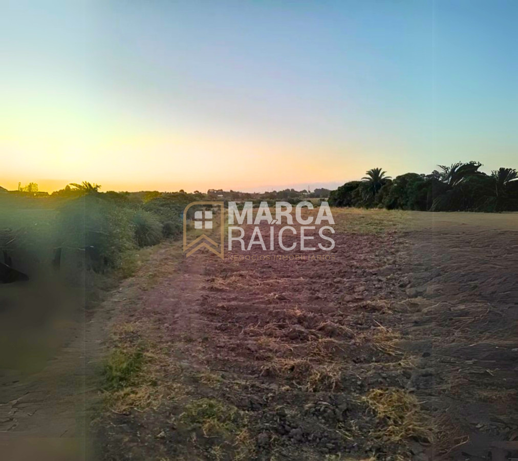 Terreno ID.1485 - Venta Terreno 4.25 HA Paso de la Arena Montevideo