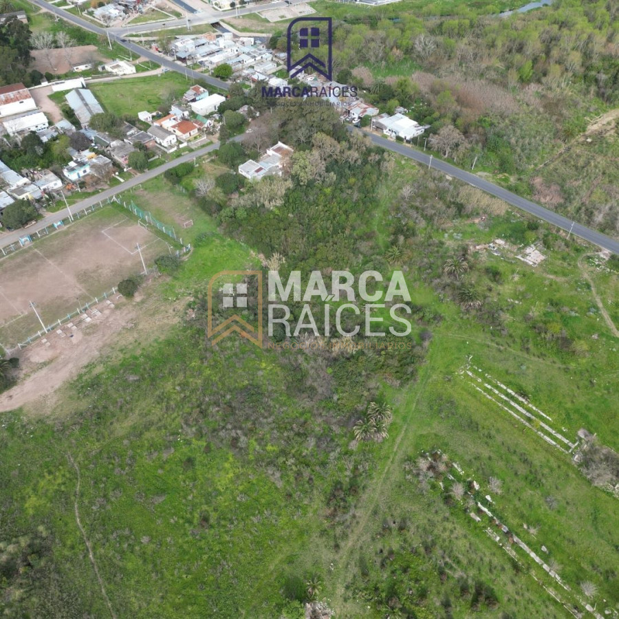 Terreno ID.518 - Venta Terrenos Logisticos En Exclusiva Frente al Polo Logistico Punta Sayago Montevideo