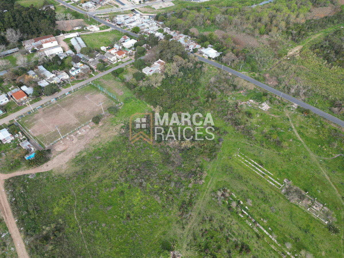 Terreno ID.522 - Venta Terrenos Logisticos En Polo Logistico Punta Sayago Oportunidad de Expandir Empresas 