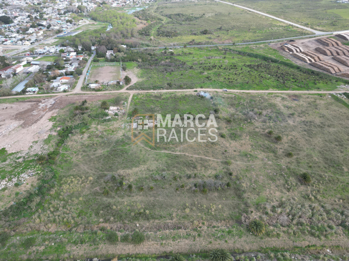 Terreno ID.522 - Venta Terrenos Logisticos En Polo Logistico Punta Sayago Oportunidad de Expandir Empresas 