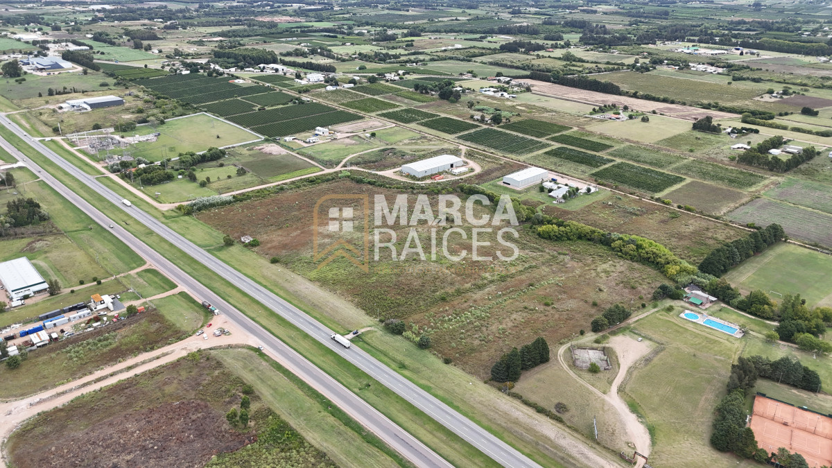 Terreno ID.1358 - Venta Lote Terreno Logistico Valor por m2 De 54.800 m2 Sobre Ruta 5 Las Piedras Canelones Uruguay