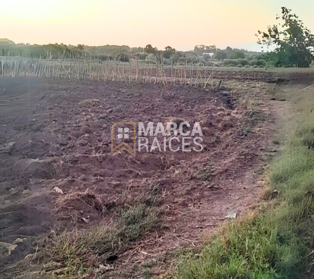 Terreno ID.1485 - Venta Terreno 4.25 HA Paso de la Arena Montevideo