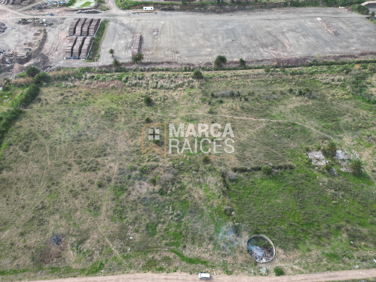 Terreno ID.1132 - Venta Terrenos Logisticos En Polo Logistico Punta Sayago Montevideo Oportunidad de Expansion Montevideo
