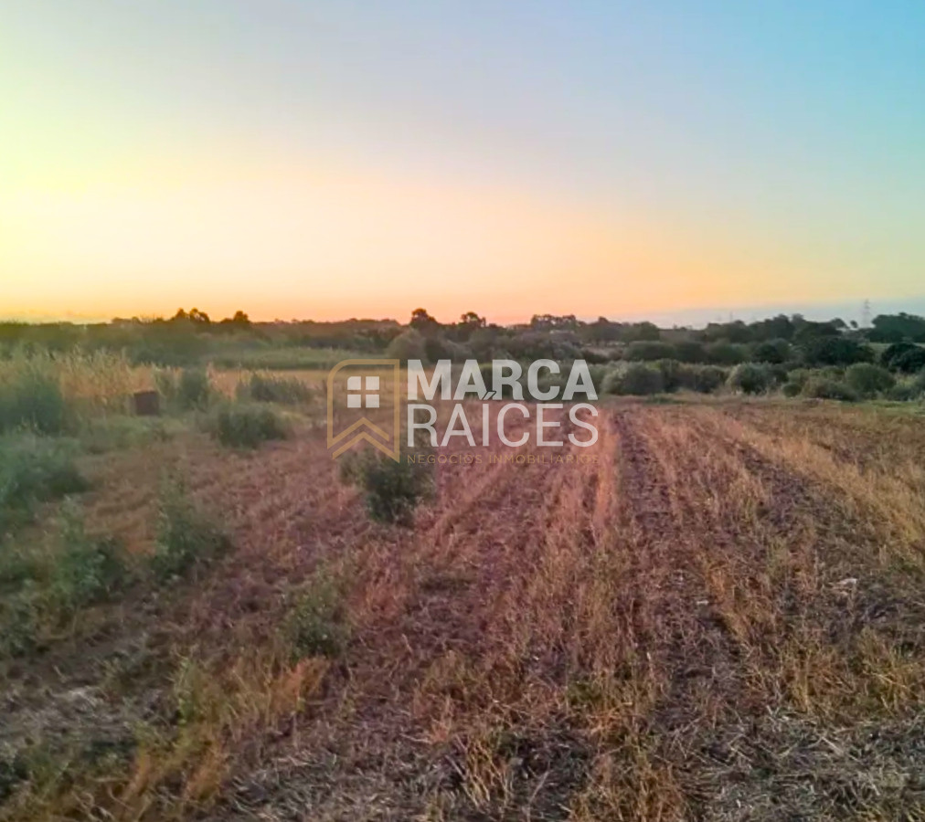 Terreno ID.1485 - Venta Terreno 4.25 HA Paso de la Arena Montevideo
