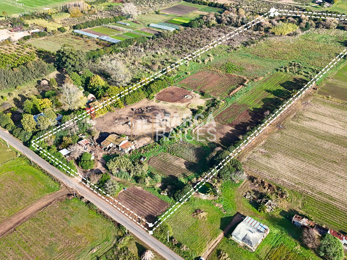 Terreno ID.1485 - Venta Terreno 4.25 HA Paso de la Arena Montevideo
