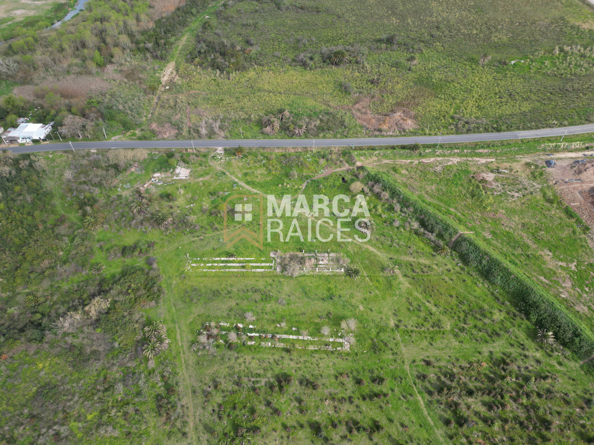 Terreno ID.522 - Venta Terrenos Logisticos En Polo Logistico Punta Sayago Oportunidad de Expandir Empresas 