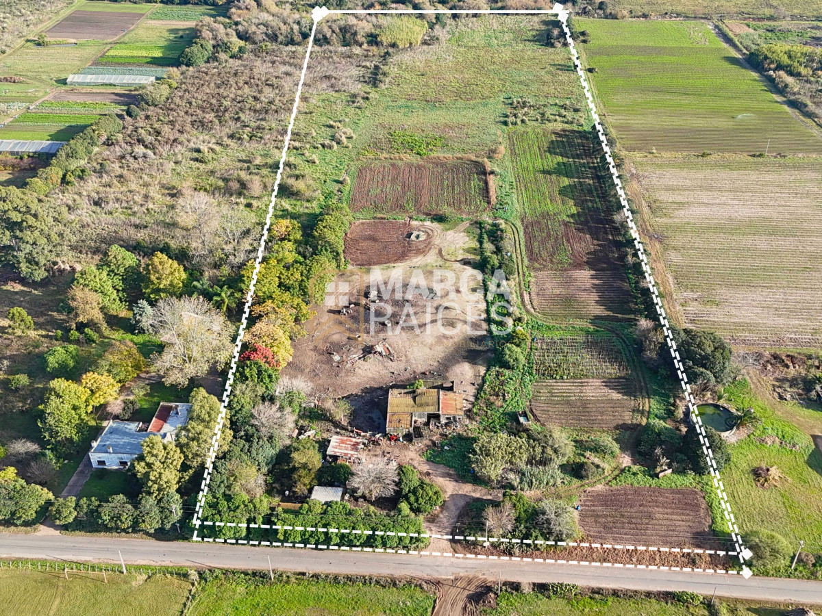 Terreno ID.1485 - Venta Terreno 4.25 HA Paso de la Arena Montevideo