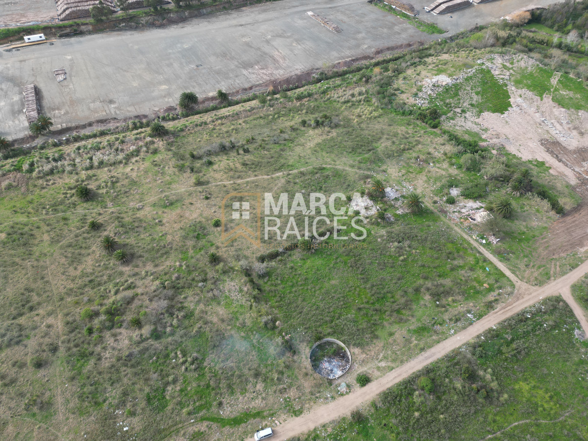 Terreno ID.522 - Venta Terrenos Logisticos En Polo Logistico Punta Sayago Oportunidad de Expandir Empresas 