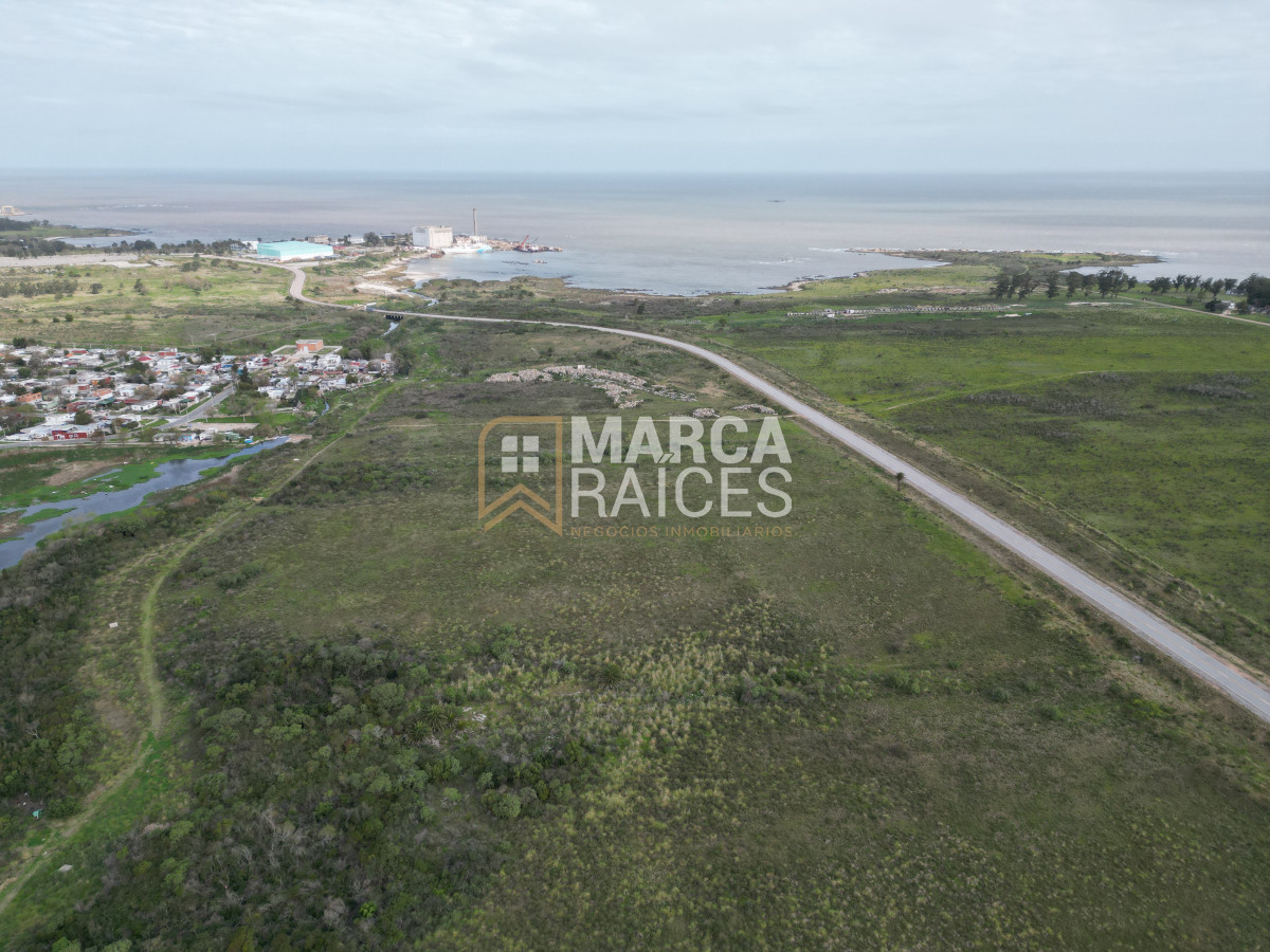 Terreno ID.522 - Venta Terrenos Logisticos En Polo Logistico Punta Sayago Oportunidad de Expandir Empresas 