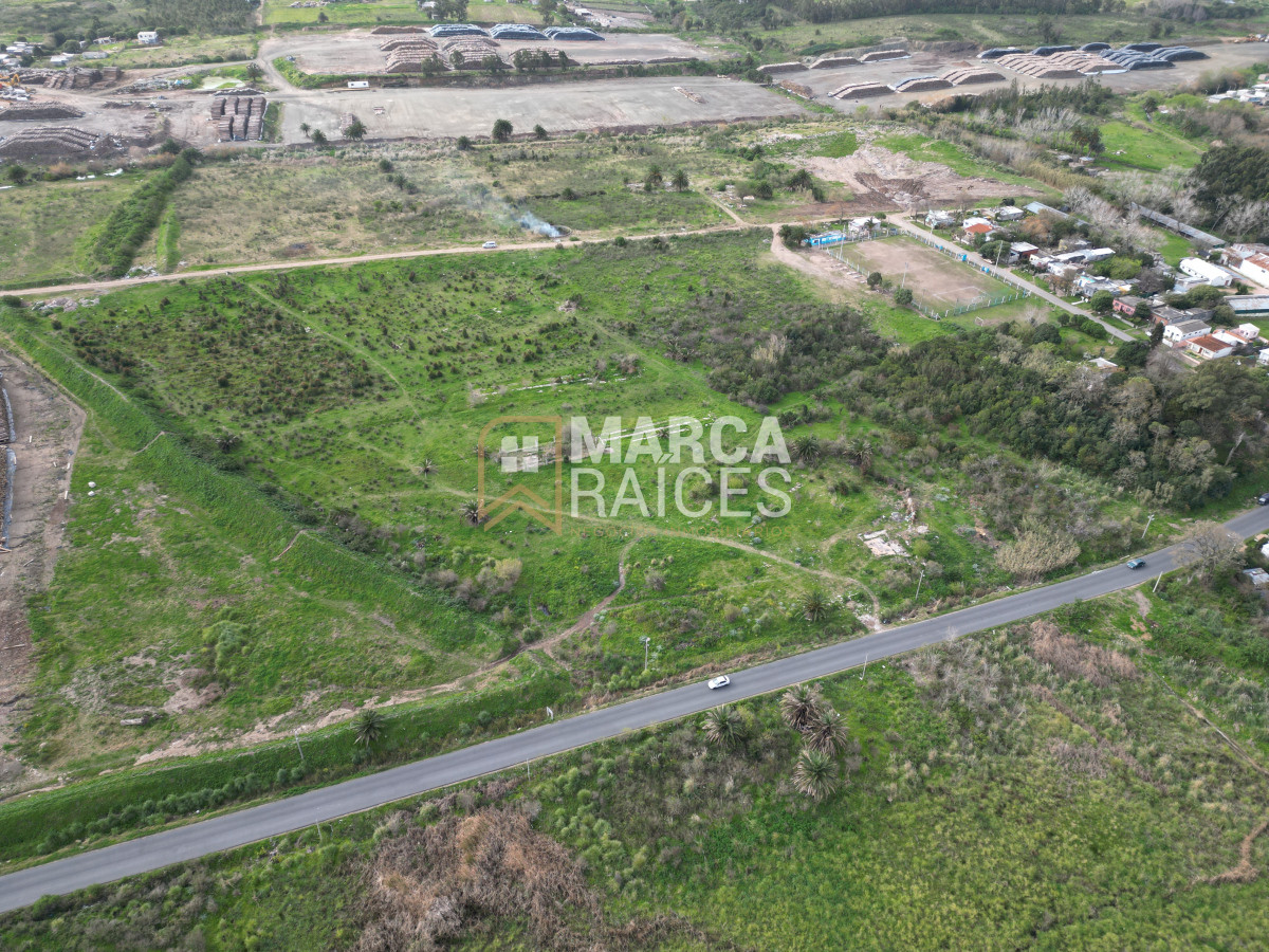 Terreno ID.522 - Venta Terrenos Logisticos En Polo Logistico Punta Sayago Oportunidad de Expandir Empresas 