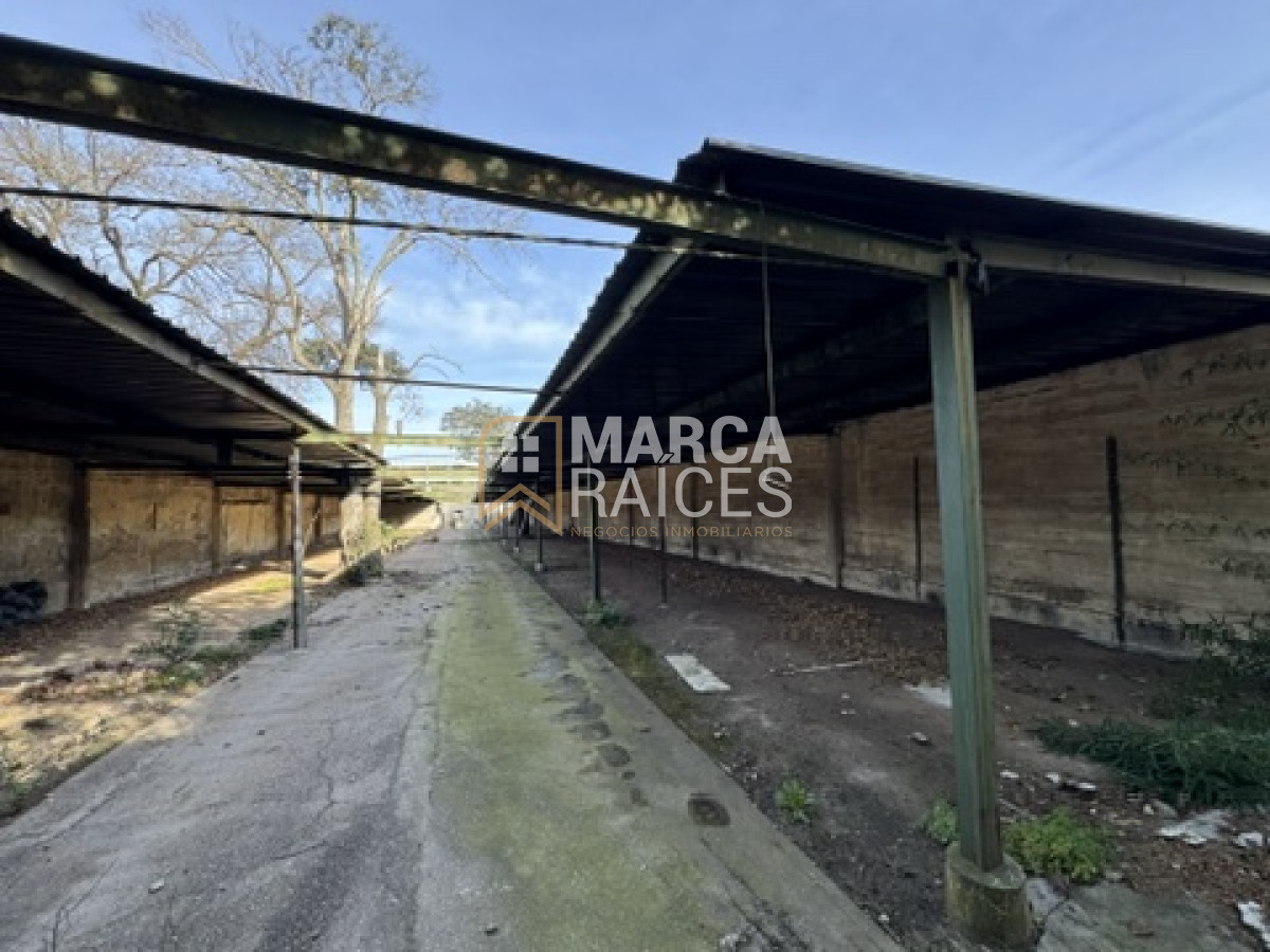 Terreno ID.533 - Venta Terreno Ideal para Desarrollo 1519m2 Millan Prado Montevideo