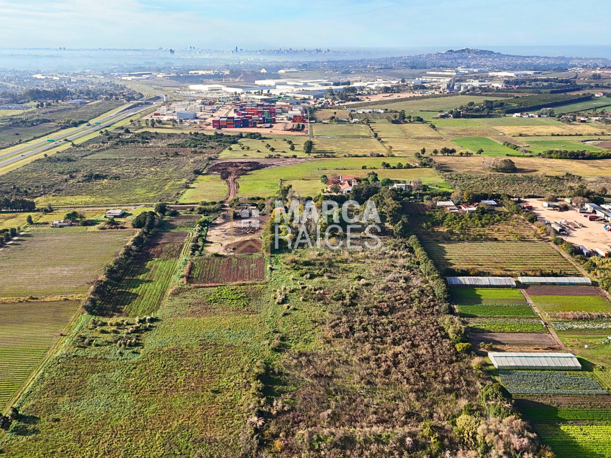 Terreno ID.1485 - Venta Terreno 4.25 HA Paso de la Arena Montevideo